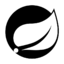 SpringBoot SpringBoot icon